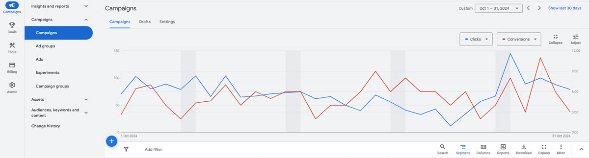 Google Ads campaign dashboard.